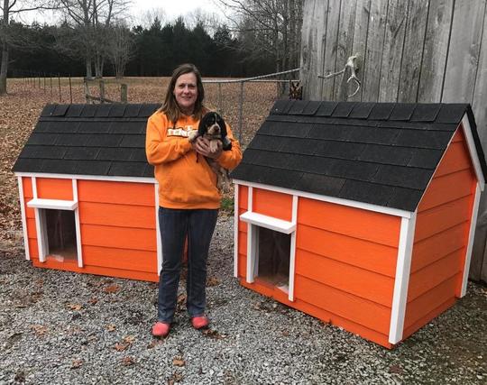 custom built dog houses